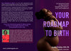 Your Roadmap to Birth: An Interactive Guide for Black Woman Navigating Pregnancy, Birth, and Postpartum